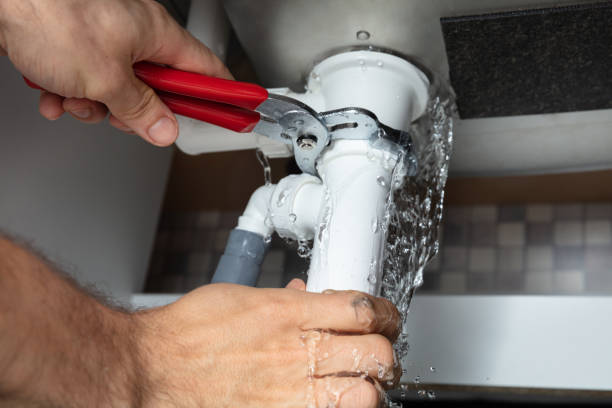 Best Water damage cleanup near me  in Madison, SD