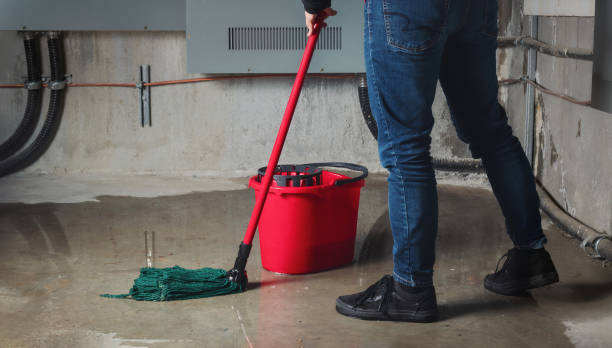 Best Water damage restoration near me  in Madison, SD