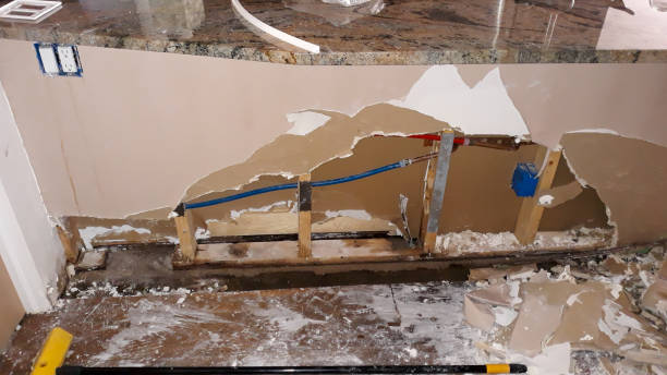 Best Fire Damage Restoration  in Madison, SD