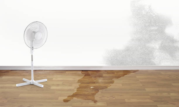 Best Commercial water damage restoration  in Madison, SD
