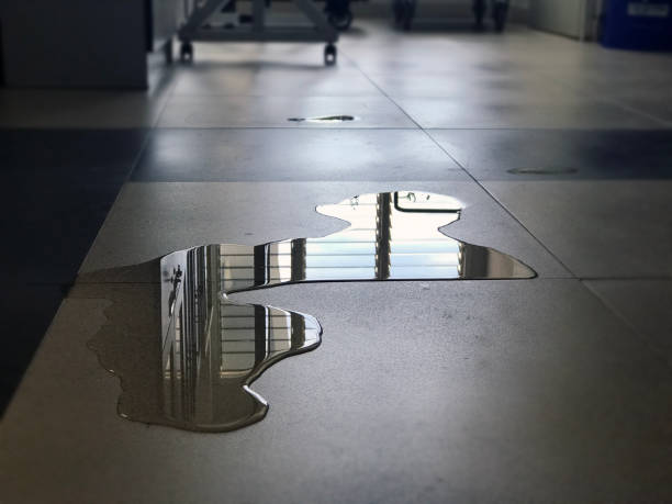Best Water damage repair service  in Madison, SD