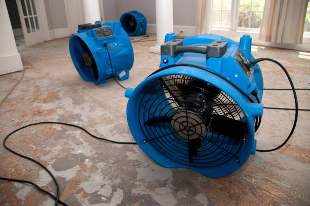 Best Flood damage cleanup  in Madison, SD