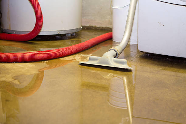Best Water damage contractors near me  in Madison, SD