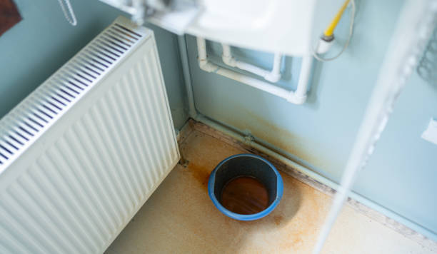 Best Flood damage cleanup  in Madison, SD