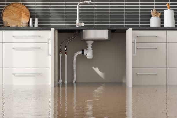 Best Water damage restoration company  in Madison, SD