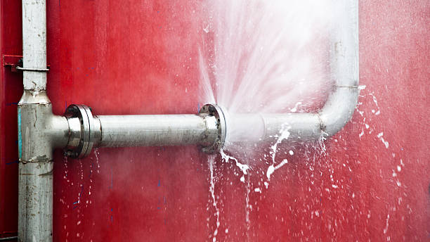 Best Water damage restoration near me  in Madison, SD