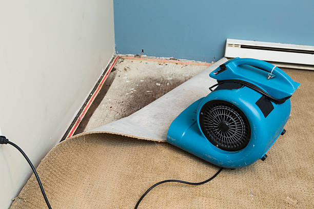 Best 24-hour water damage restoration  in Madison, SD